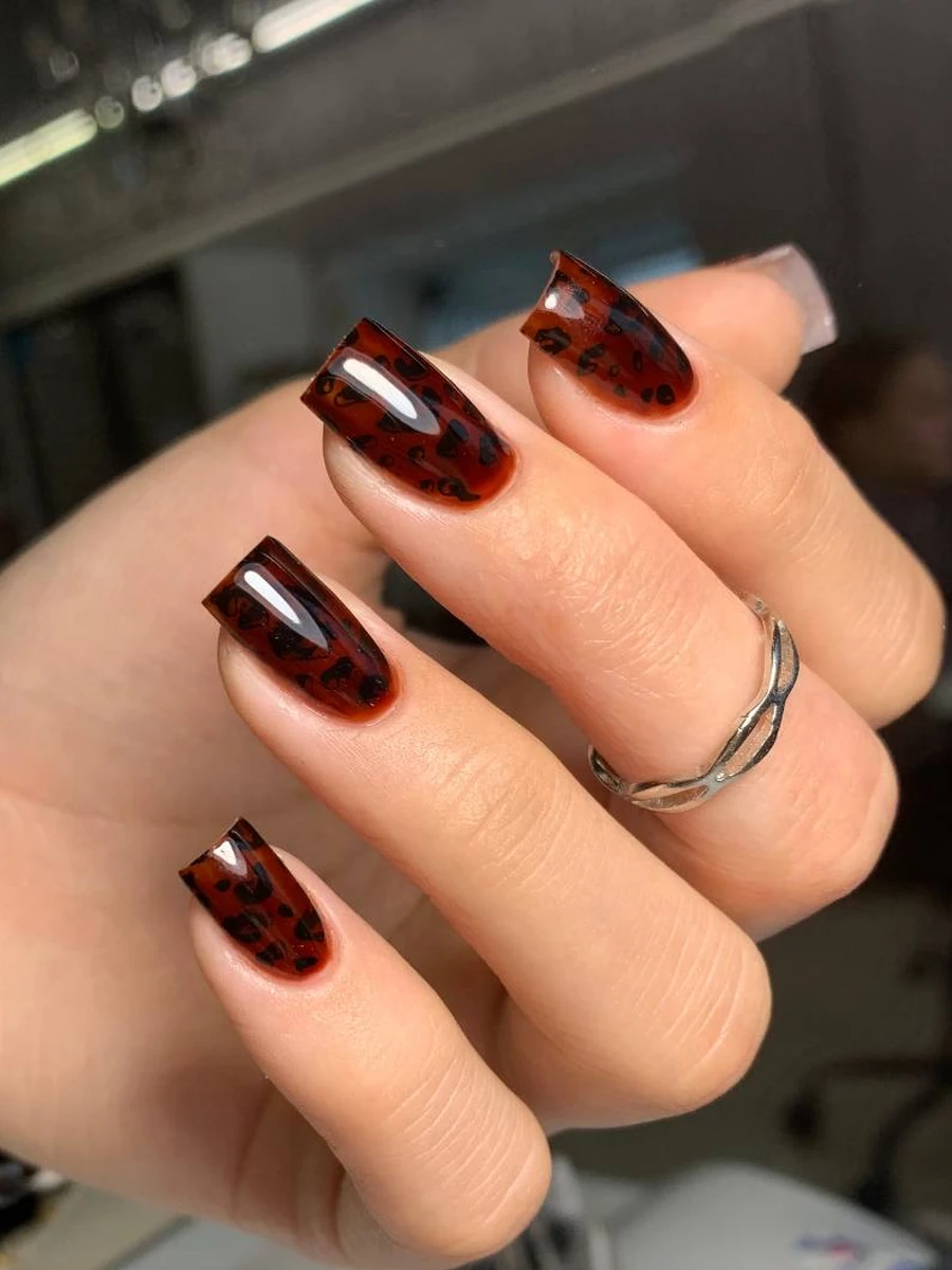 Ксения